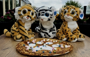 Wilde Katten Kinderpannenkoek