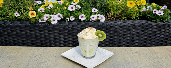 romig-kiwi-dessert