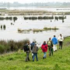 Natuurgebied De Groene Jonker in Noorden