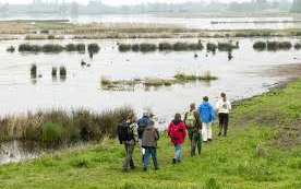 Natuurgebied De Groene Jonker in Noorden